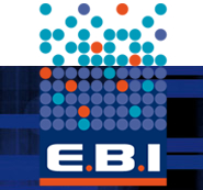 ebi